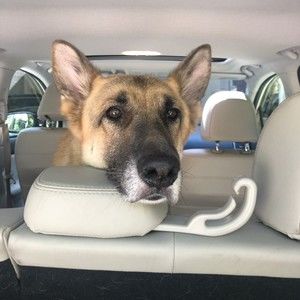 Meet your Posher, Pamela